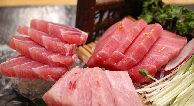 tdc_maguro_park_sakai_0