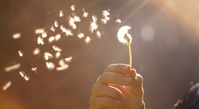 non_nhk_n_sp_twitter_0